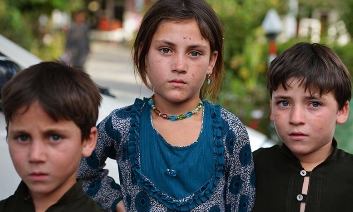 Wikimedia/Not The Actual Photo