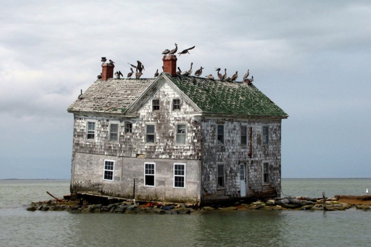 Uma casa abandonada em uma ilhota americana: agora pássaros e gaivotas se deleitam!