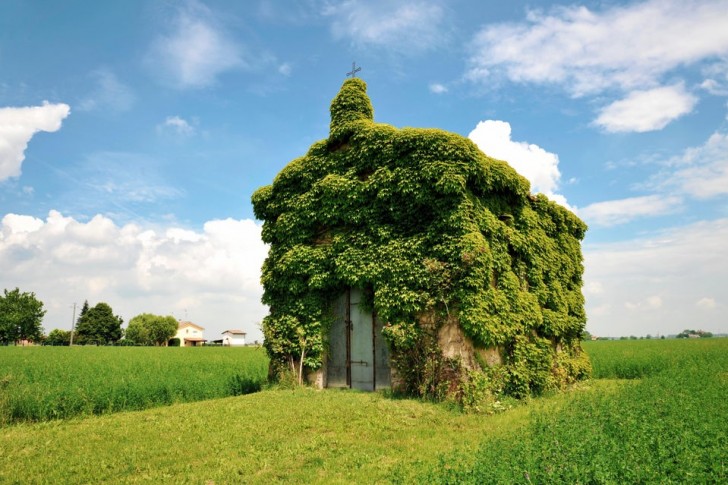 ¡Una capilla donde los fieles parece que adoran el color verde!