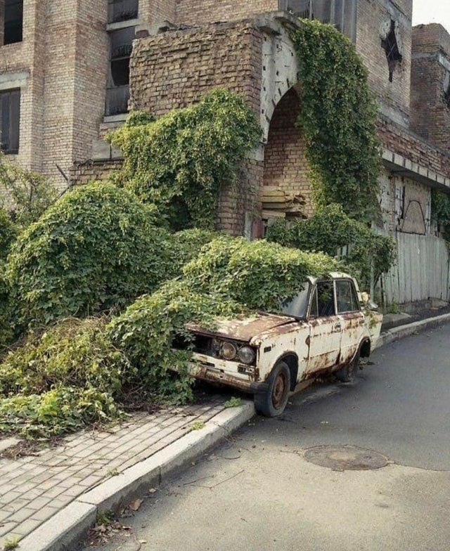 Apparently this car has been parked there for some time...