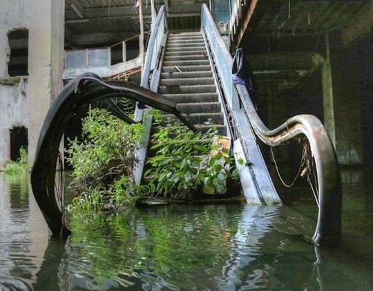 Una escalera móvil abandonada en Bangkok...¡parece una escena de un film post-apocalíptico!