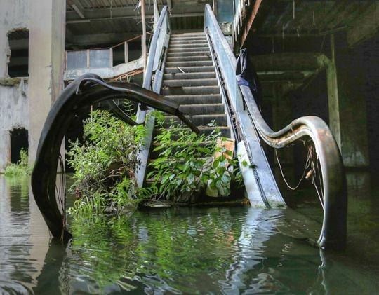 Uma escada rolante abandonada em Bangkok... parece uma cena de um filme pós-apocalíptico!