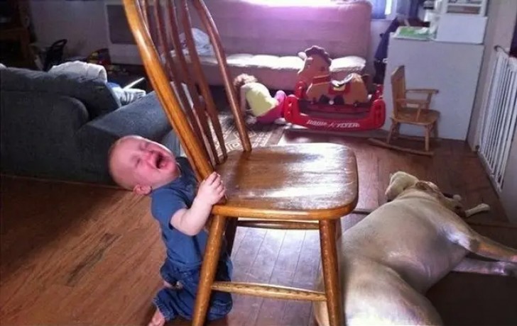 Yes, he is crying because the dog has blocked his way!