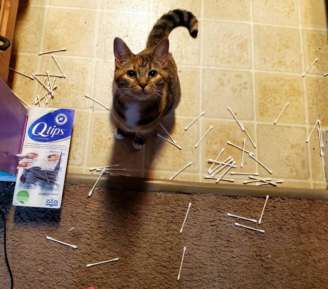 12. "Look Mom, it's raining Q tips!"