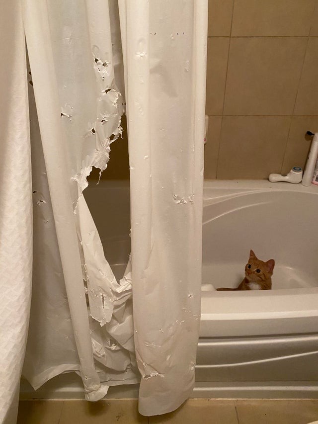 15. Another shower curtain destroyed ...