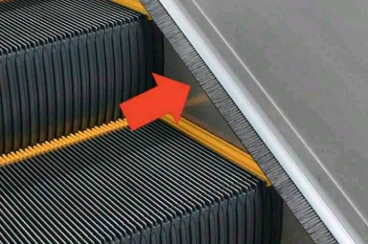 6. Vous êtes-vous déjà demandé à quoi servait la "brosse" sur les bords des escalators ?