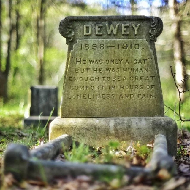 A moving headstone in a pet cemetery