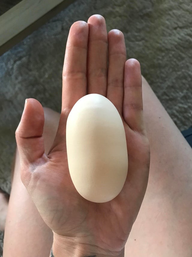 1. Ein bizarr aussehendes, längliches Ei.