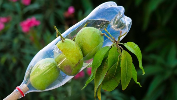Creare un raccogli-frutta con delle bottiglie di plastica