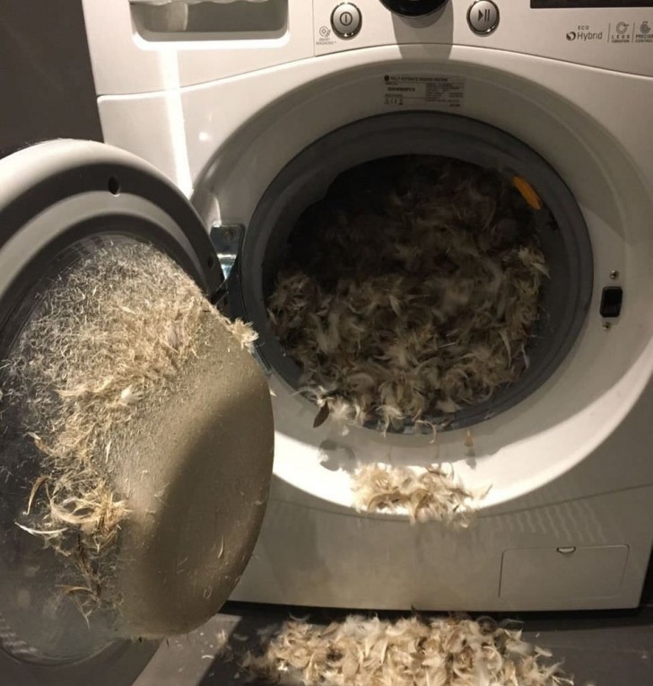 When we have the brilliant idea of putting a feather pillow in the washing machine and ... it explodes!