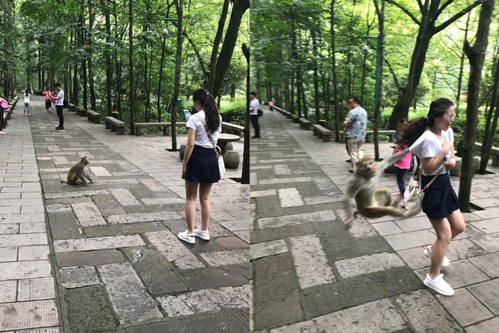 Pobre joven, ¡habrá quedado traumatizada!