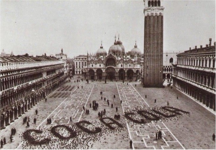 7. Des pigeons composent une singulière publicité pour Coca-Cola, à Venise (1960).