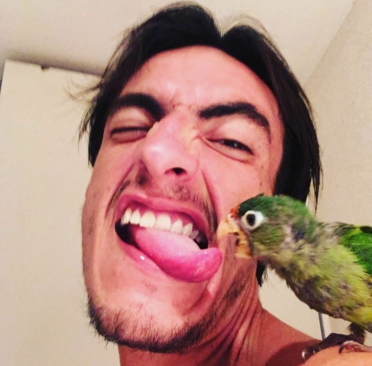 16. Foto divertente col pappagallino? Attento alla lingua!