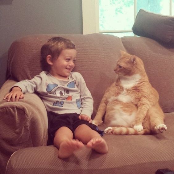 Un regard complice que seuls les enfants et les animaux domestiques savent échanger...