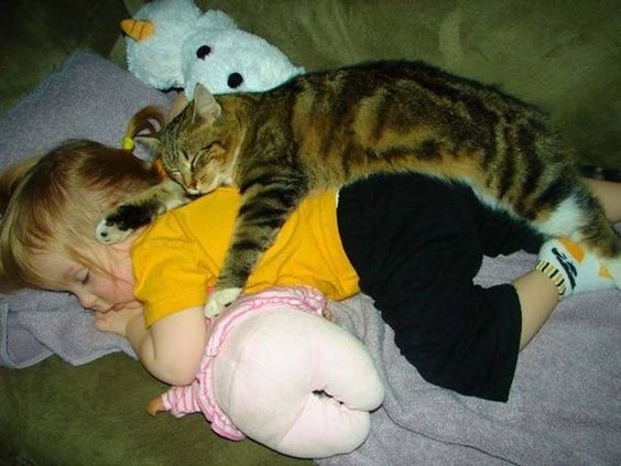 No se duerme nunca si no está el gato haciéndole compañía...