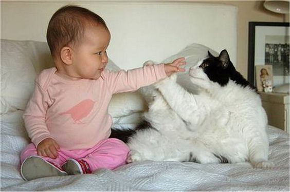 Between baby and cat...a great friendship is growing!