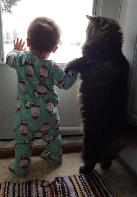 Tous ensemble, regardant la fenêtre en attendant maman !