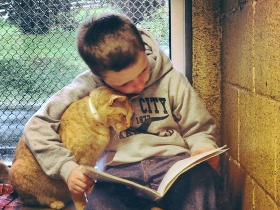 Una lectura relajante acompañado de su gato favorito: ¿Qué podría ser mejor?