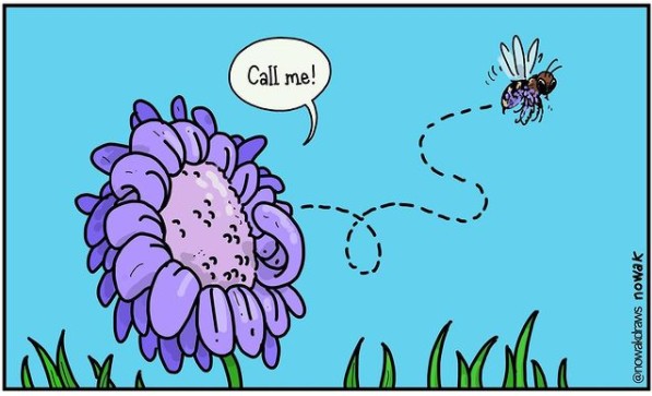 10. Il fiore manda un bacio all'ape.