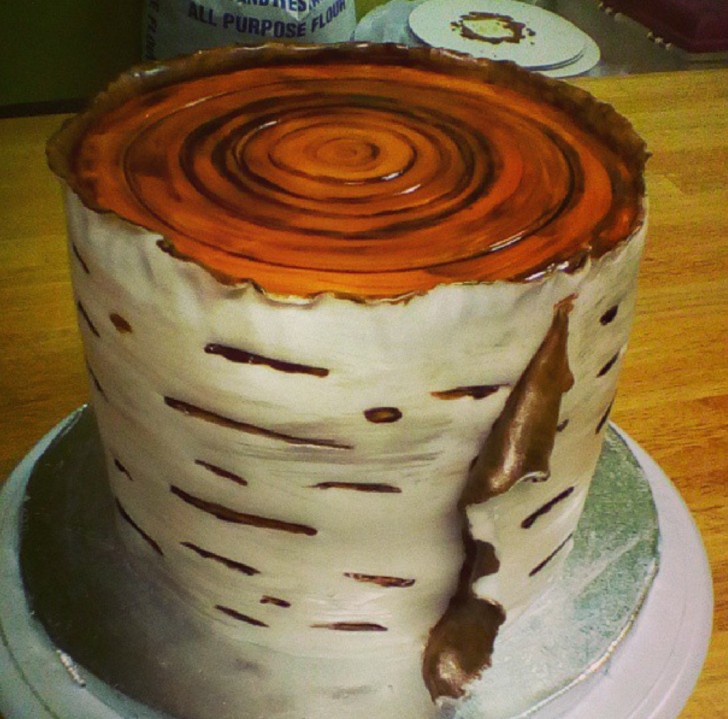 Un gâteau qui ressemble au tronc épais et vigoureux d'un arbre !