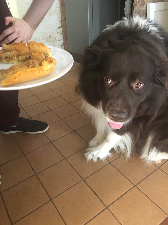 He ate a slice of the homemade cake ... guilty until proven otherwise!