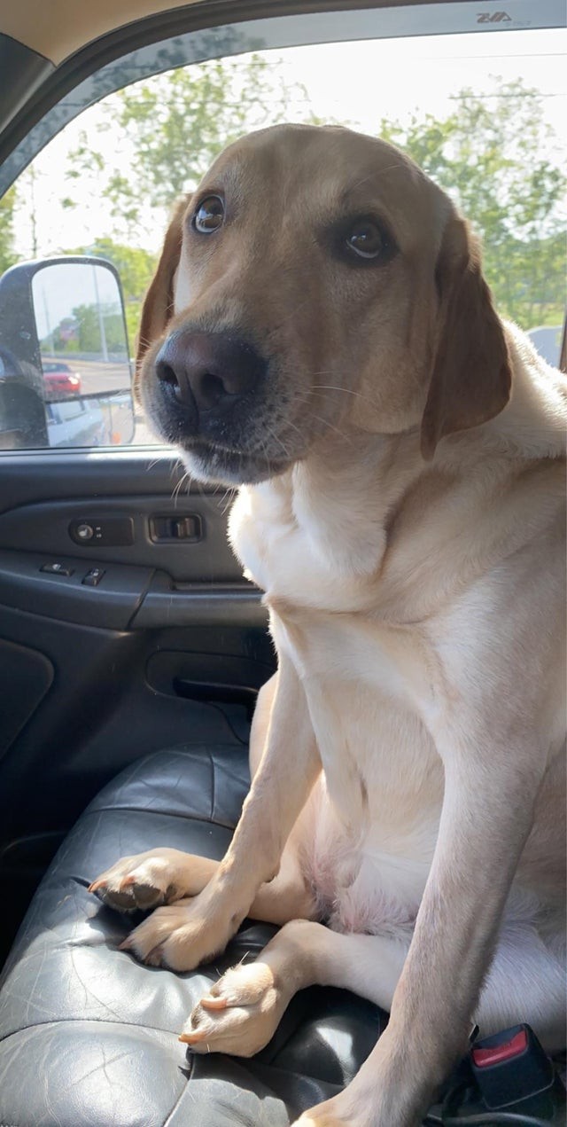 Me está mirando así desde cuando ha subido al auto...