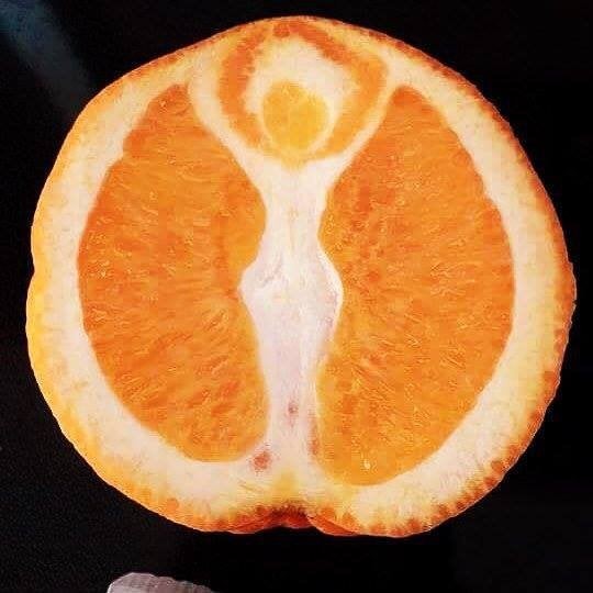 17. Une danseuse dans une orange.