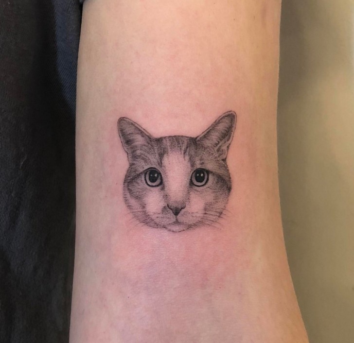 My first tattoo couldn't help but celebrate all the love I feel for my kitty!