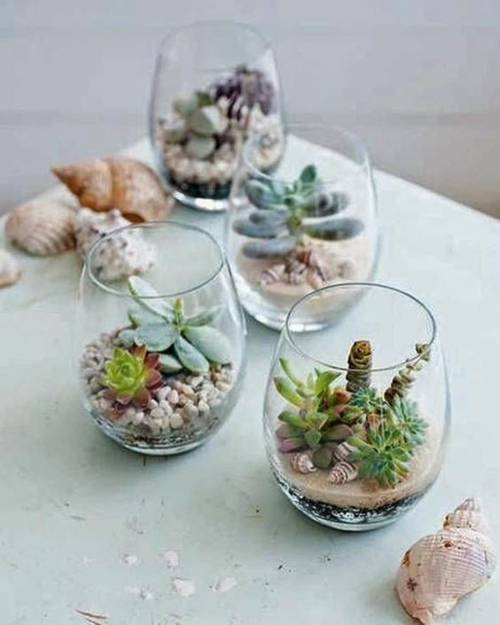 Micro-giardini nei contenitori di vetro: scopri come crearli con le piante grasse - 2