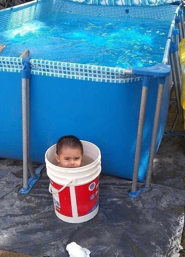 Uma piscina enorme e ele prefere o balde!