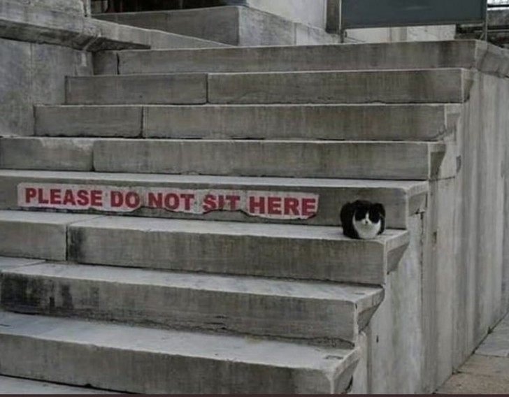 1. Es wird ausdrücklich darauf hingewiesen, nicht auf den Stufen zu sitzen.