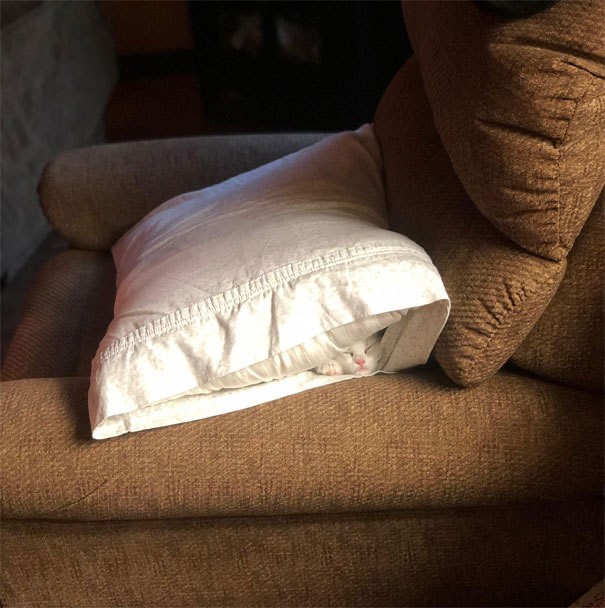 Have you checked inside the cover on your pillow?