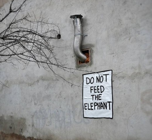 20. Non date da mangiare all'elefante: la sua proboscide è sempre pronta.