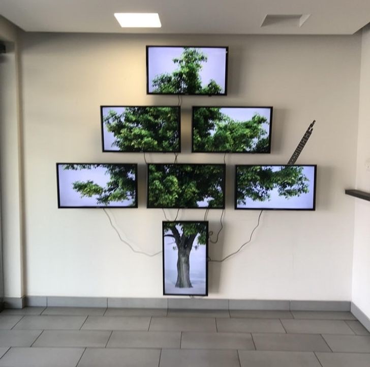 Bomen ten tijde van de digitale revolutie!