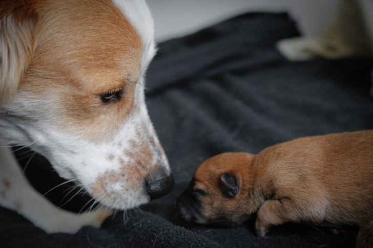 Father and son...