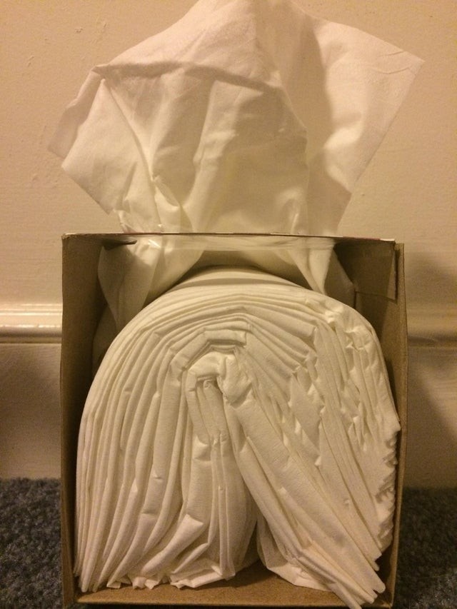 13. So gesehen, ist selbst eine einfache Packung Taschentücher nicht dasselbe!