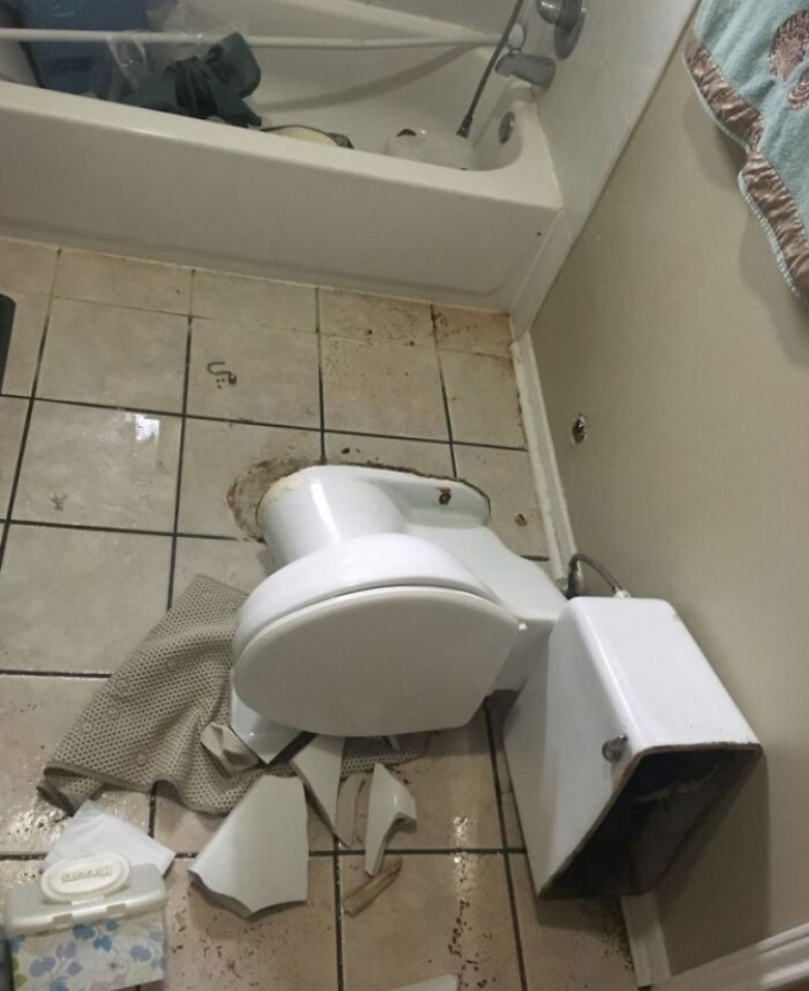 1. Vous glissez dans la douche et atterrissez sur les toilettes : une vraie catastrophe !