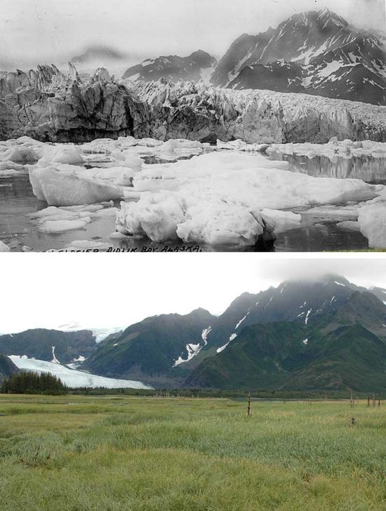 8. Le glacier Pedersen en Alaska.