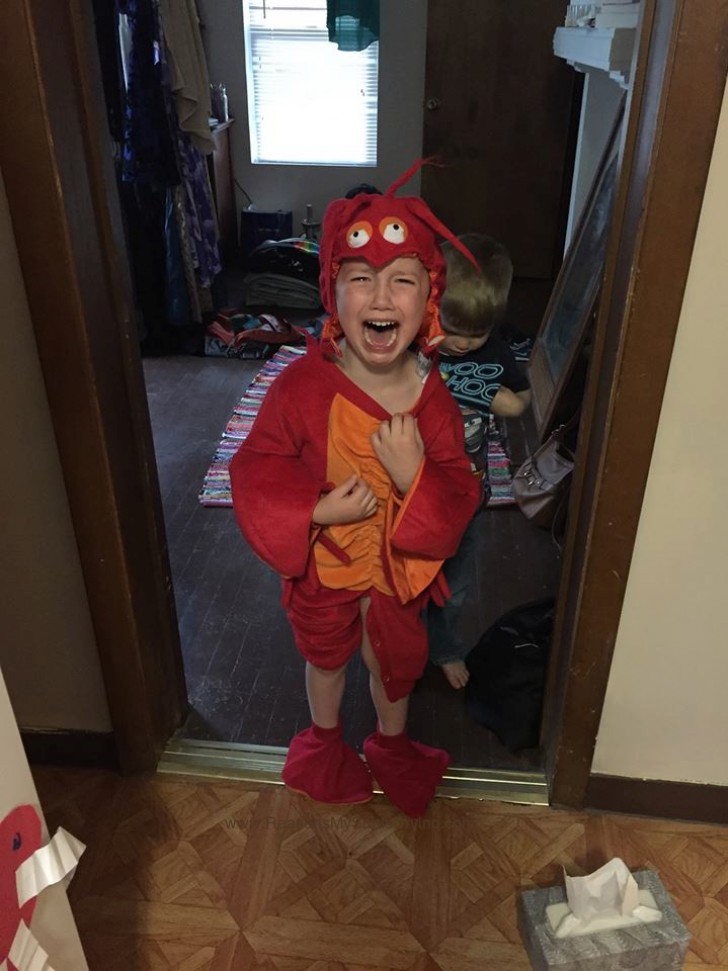 17. "J'ai dit à mon fils de 5 ans que le costume de homard pourrait être trop petit pour lui..."