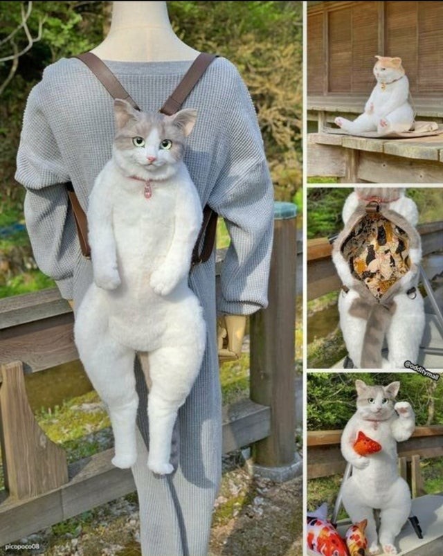 10. This backpack looks like an unhappy pet cat...