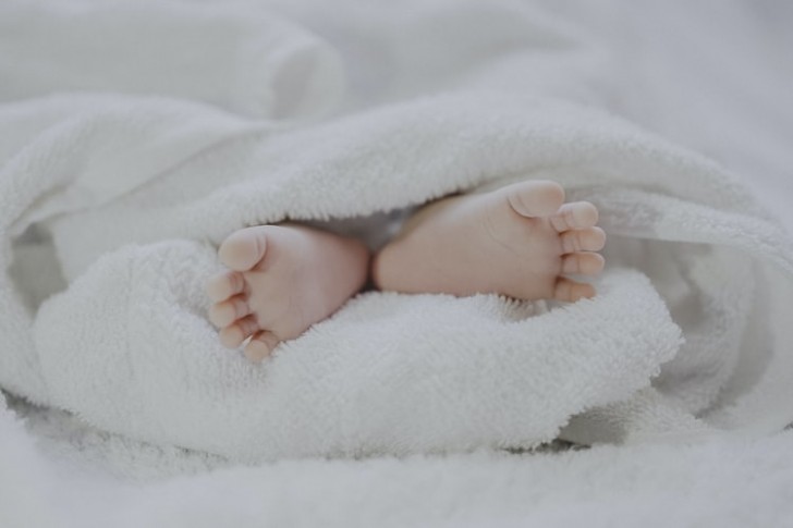 Not the actual photo/Fé Ngo/Unsplash