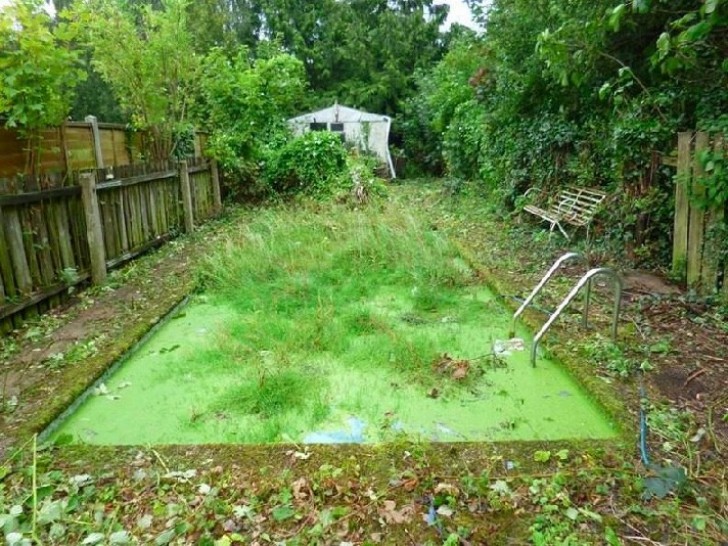 Com certeza esta piscina ajudou muito a vender a casa!