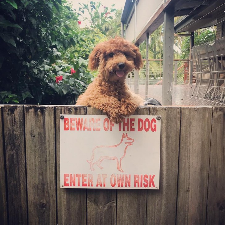 1. "Betreden op eigen risico". Heel riskant.