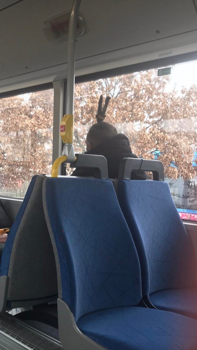 C'est un passager ou ce sont les oreilles d'un lapin ?