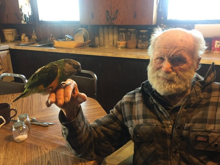 Mio nonno ha 92 anni e ha insistito per scattargli questa foto con il mio pappagallo sulla sua mano...