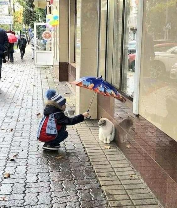 Un pequeño gesto, ¡pero realmente muy apreciado!