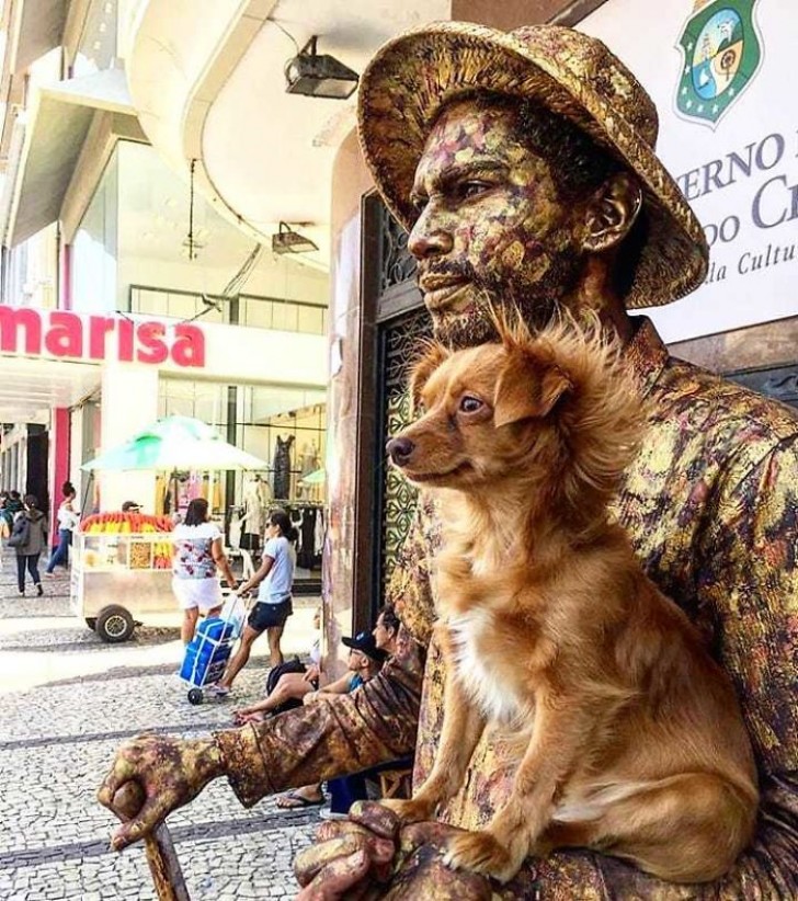 cachorrinhaartista/Instagram