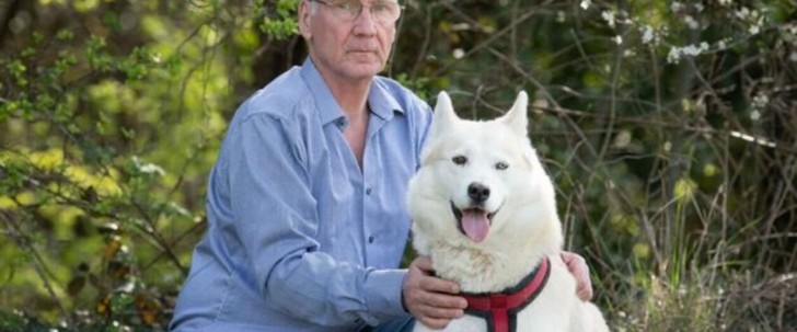 He finds a newborn abandoned in a bush thanks to his dog:"He's a hero, he saved his life" - 1