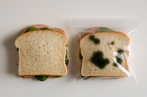 Sandwichtüte für das Büro: Jetzt wird niemand mehr so tun, als wäre es falsch gewesen, Ihr Sandwich zu essen.
