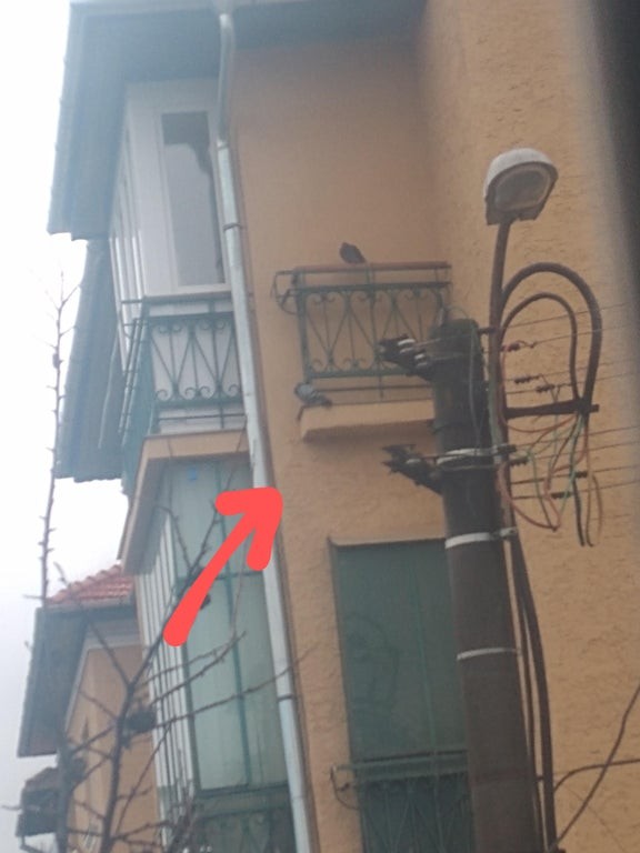 15. Un balcon pour les pigeons.